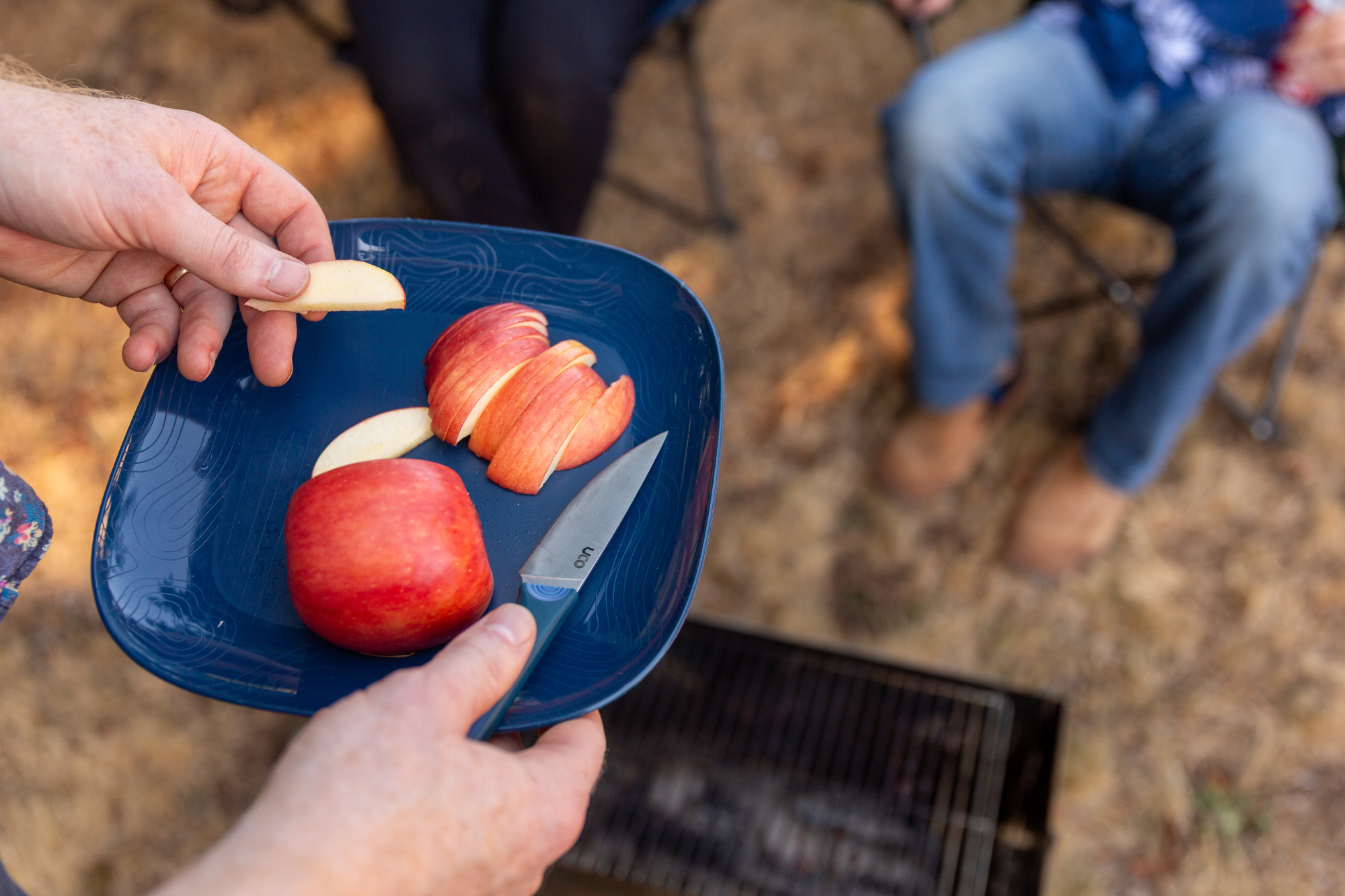 The Easiest 20-Minute Camp Apple Crisp Recipe