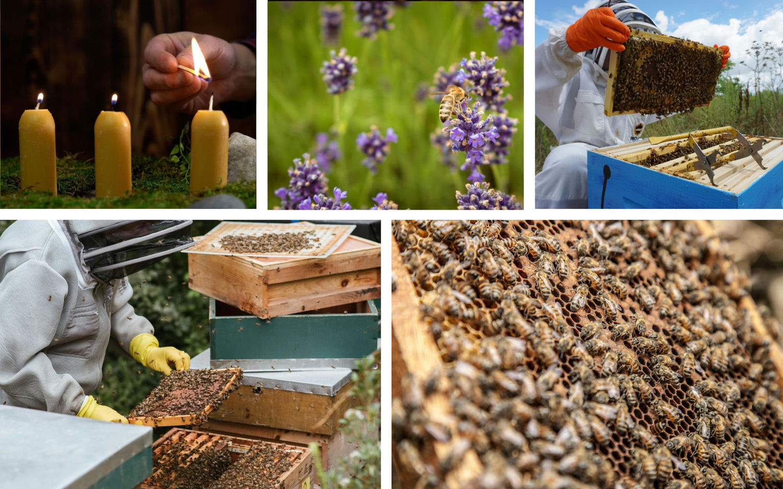 Pure beeswax lantern candle for storm survival kits-UCOGEAR