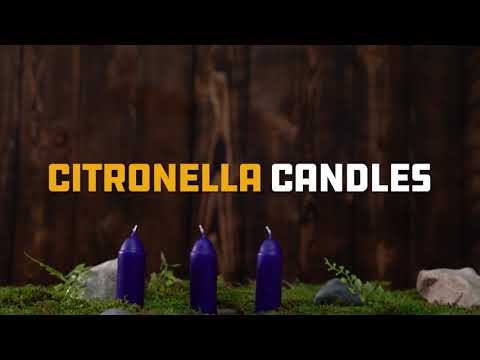 Outdoor citronella candles for backyard and patio use
